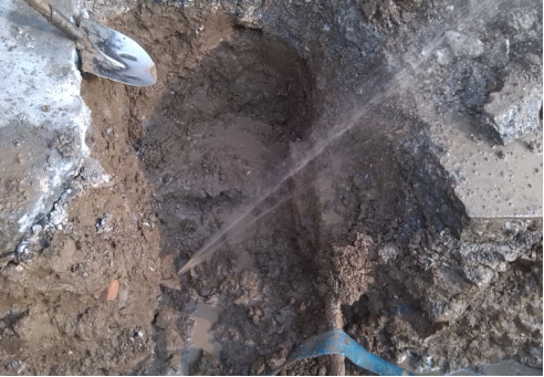 1658804838317257.jpg ddf7e270-d31c-413e-a91b-d84292279e49.jpg